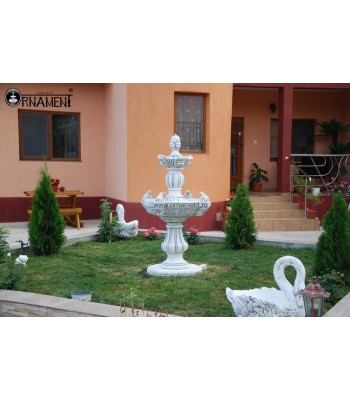 Fantana arteziana cu broscute