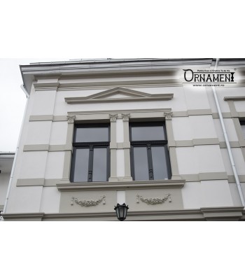 Fronton decorativ floral cu canafi