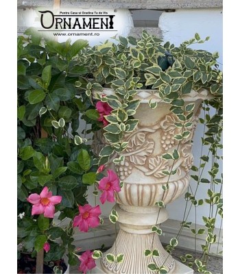 Ghiveci pentru flori Avignon