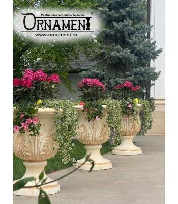 Ghiveci pentru flori si Tuia