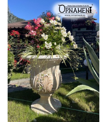 Ghiveci pentru flori si Tuia