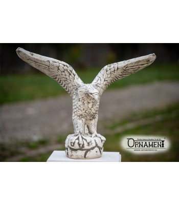 Statueta Vultur cu Aripi Deschise